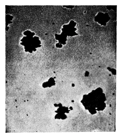 Рис. 19.3. Микроструктура ковкого чугуна; на фотографии виден феррит (светлый фон) и сферические частицы графита.