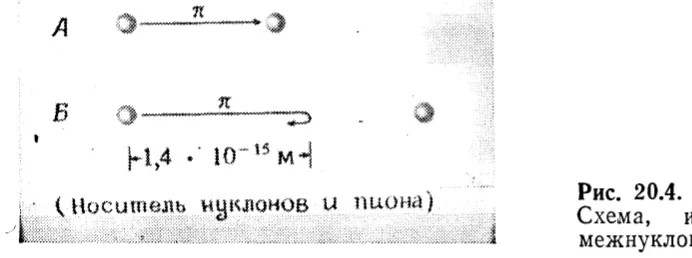 Рис. 20.4. Схема, иллюстрирующая действие межнуклонных сил.